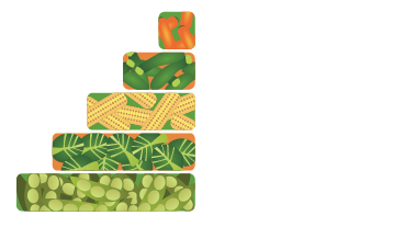 San Juan Agroexport